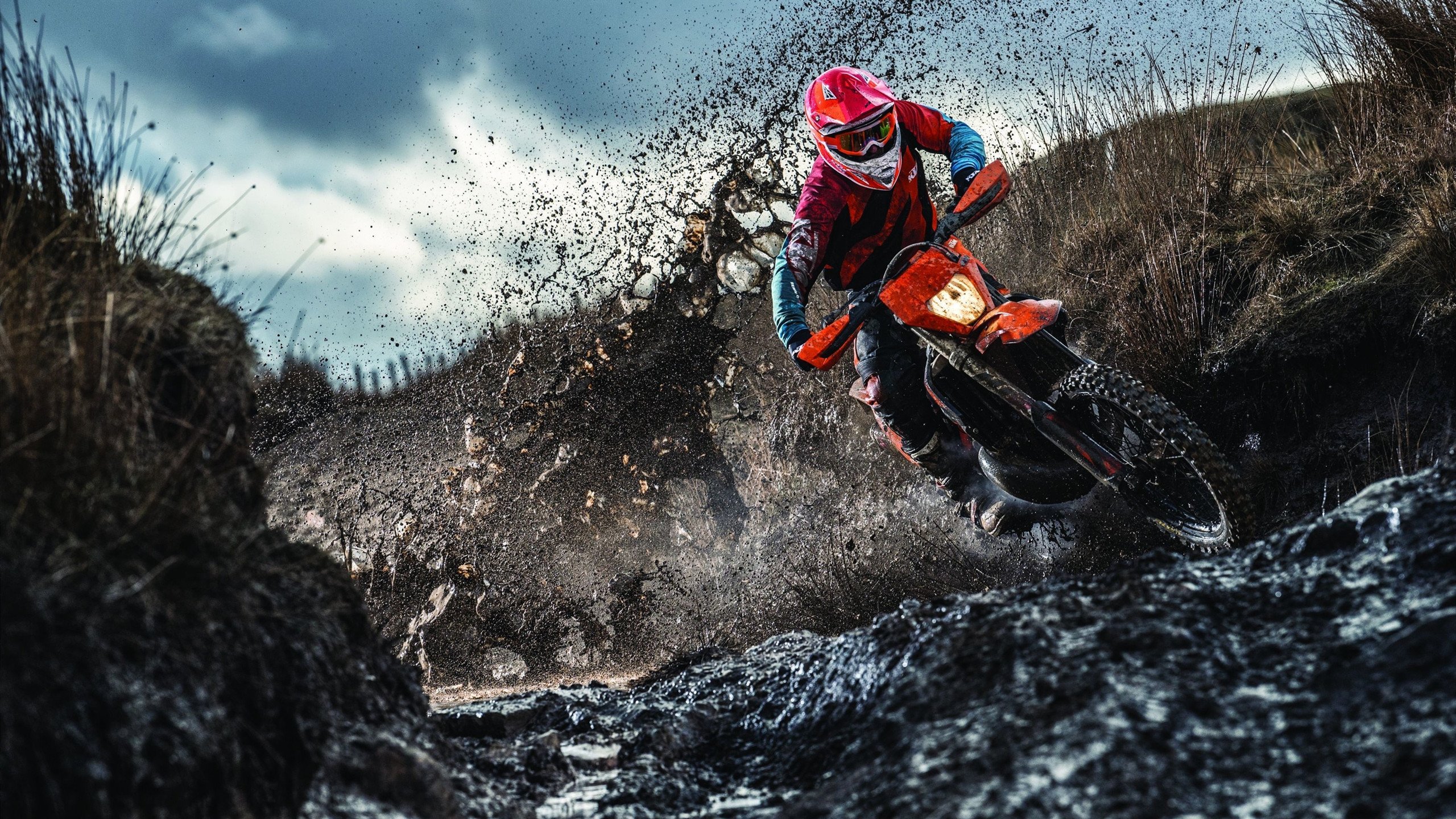 开云登陆-划频变化揭示蝶泳节奏控制，蝶泳划水动作